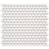 Rivonia 0.75 inch White Matt Peny Round Mosaic Tile