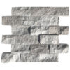 Apex Marble 2" x 4" Split Face Mosaic Tile