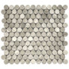Slatewood Marble Penny Honed Mosaic Tile