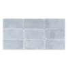 Polar Gray Marble 3" x 6" Tumbled Tile