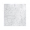 Carrara Marble 18" x 18" Honed Tile