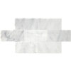 Carrara Marble 3" x 6" Polished Tile