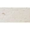 Fresca Limestone 12" x 24" Brushed Tile