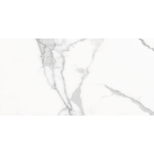 Regal Rectified Porcelain 12" x 24" Matt Tile