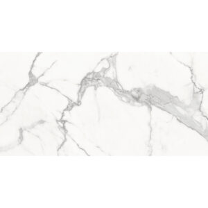 Regal Rectified Porcelain 24" x 48" Matt Tile