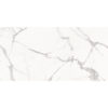 Regal Rectified Porcelain 24" x 48" Polished Tile