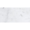 Pale Gray Marble 12" x 24" Honed Tile