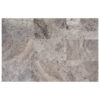 Argento Travertine 12" x 24" Filled and Honed Tile